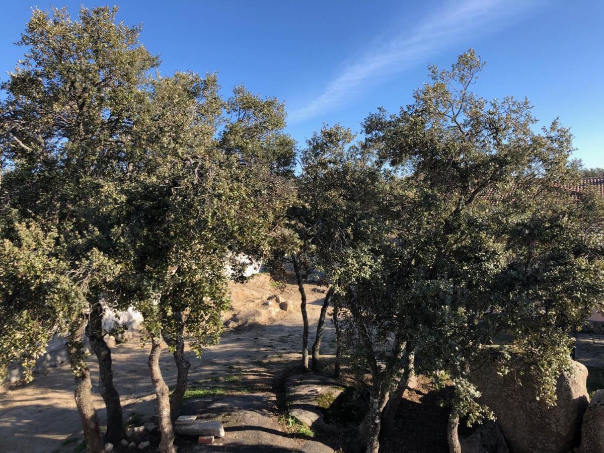 Finca El Olivo Ituero y Lama Kültér fotó